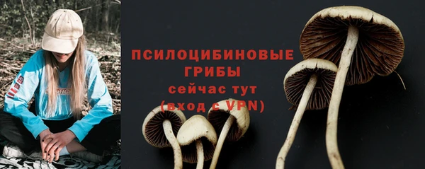 хмурый Верхний Тагил
