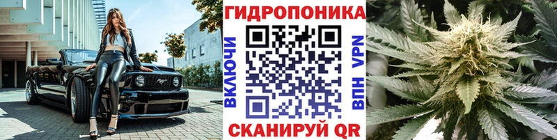 Каннабис OG Kush  Купить закладки  Горно-Алтайск 